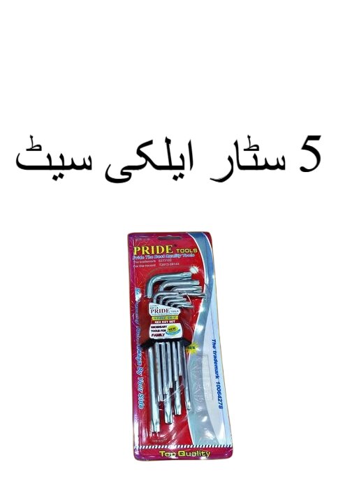 5-Star Allen Key Set ? Hex Key Wrench Set for Bikes, Furniture & Machinery Repair China