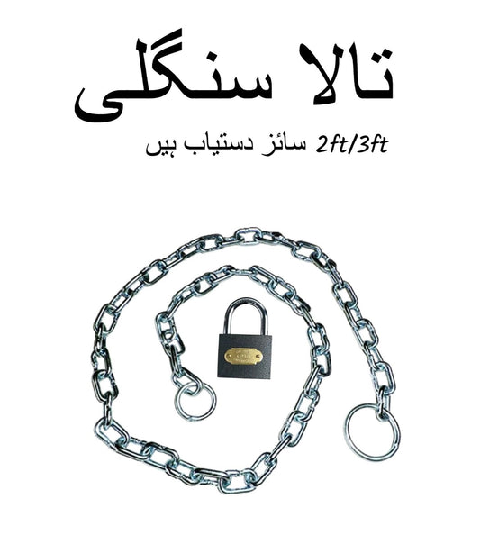 Heavy Duty Motorbike Chain Lock with Padlock ? Anti Theft Steel Chain (2ft?3ft Sizes)
